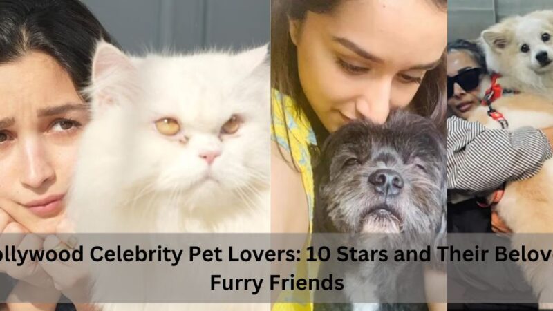 Bollywood Celebrity Pet Lovers: 10 Stars and Their Beloved Furry Friends