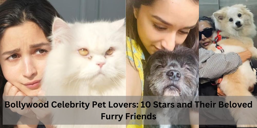 Bollywood Celebrity Pet Lovers: 10 Stars and Their Beloved Furry Friends