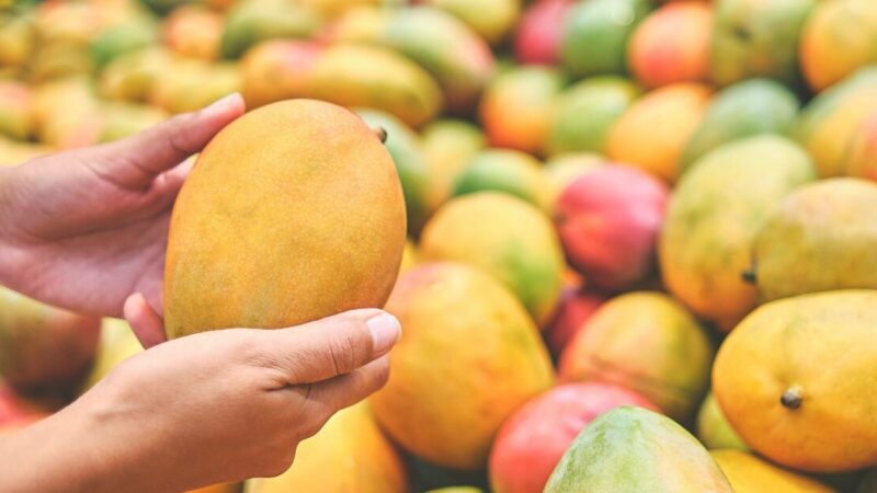 10 Famous Mango Varieties Available In India