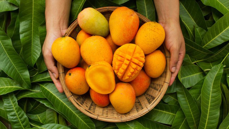 Alphonso Mango Origin: Here’s How India’s Favourite Alphonso Mango Got Its Name